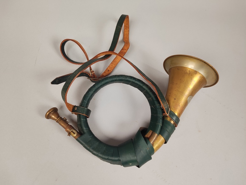 Jakthorn, Fürst-Pless