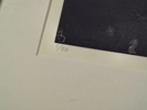 12643e_8dd3e44cf521432_sm.jpeg