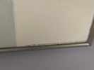 14003b_8dd6a03d92346ad_sm.jpeg