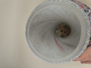 15118f_8dd8f914a967683_sm.jpeg