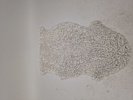 15212a_8dd90a30f626254_sm.jpeg