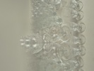 15689j_8dda123721a6287_sm.jpeg