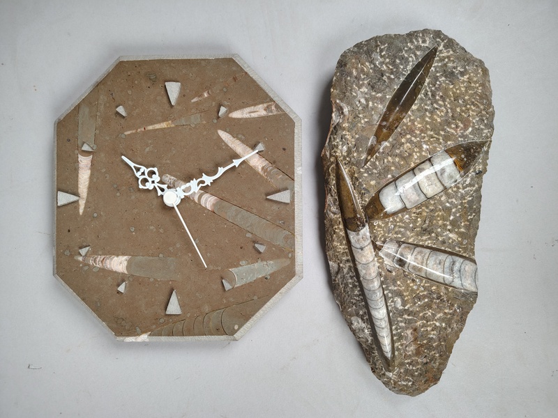 Fossil bl.a. Klocka, Ortoceratiter