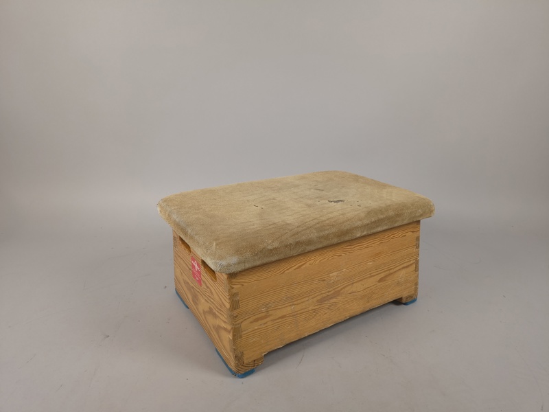Pallplint