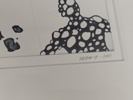 16010c_8ddac3d1aeea8be_sm.jpeg