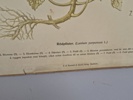 16047f_8ddaeab5713621a_sm.jpeg
