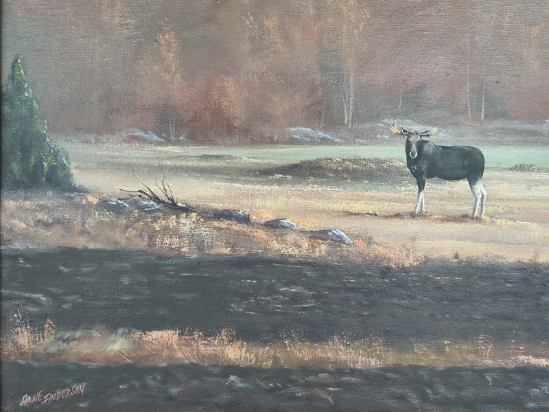 Olja på duk, Älg Arne Andersson, signerad