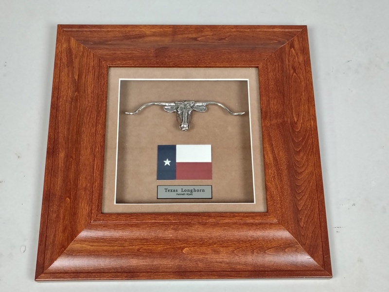Inramad skulptur, Kenneth Wyatt, Texas Longhorn
