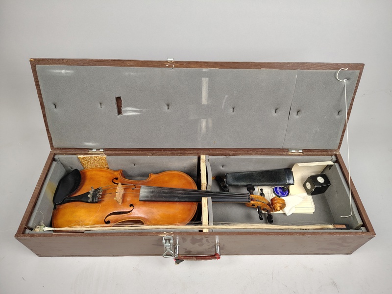 Violin