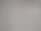16748c_8ddda973fb7422c_sm.jpeg
