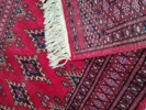17094b_8dde541a29dfe11_sm.jpeg