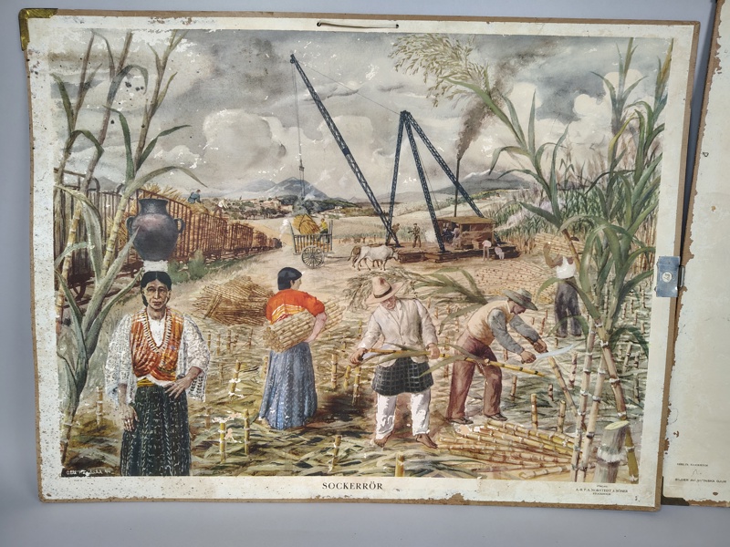 Skolplanscher 2 st bl.a. Sockerrör