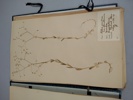 Hebarium