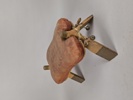 Kamelsadel/pall