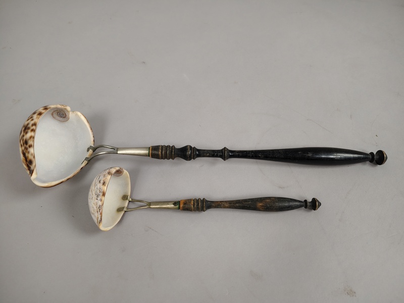 Soppslev 2 st, Snäckskal 1800-1900-tal