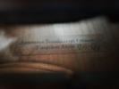 Violin, efter Stradivarius