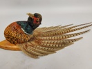 Taxidermi, Fasan Väggmontage