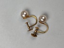 Örhänge, 18 k Guld & Pärlor