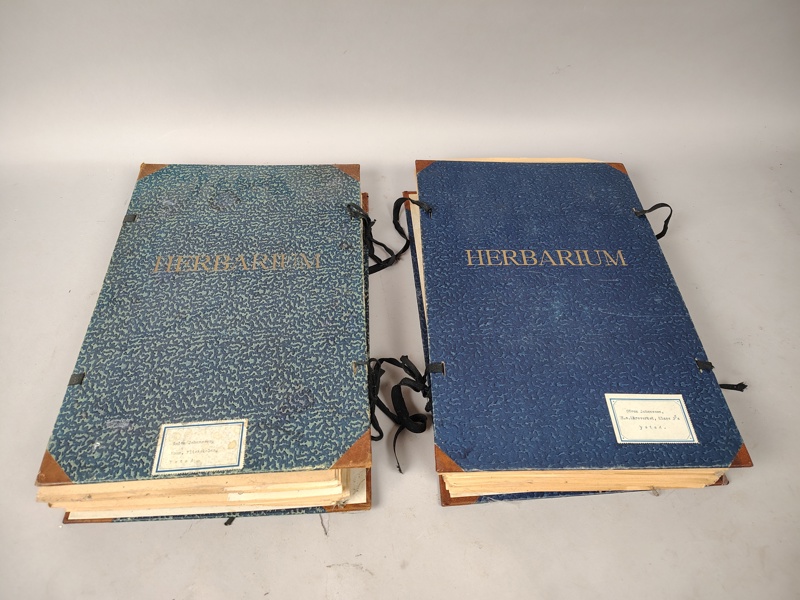 Herbarium 2 st