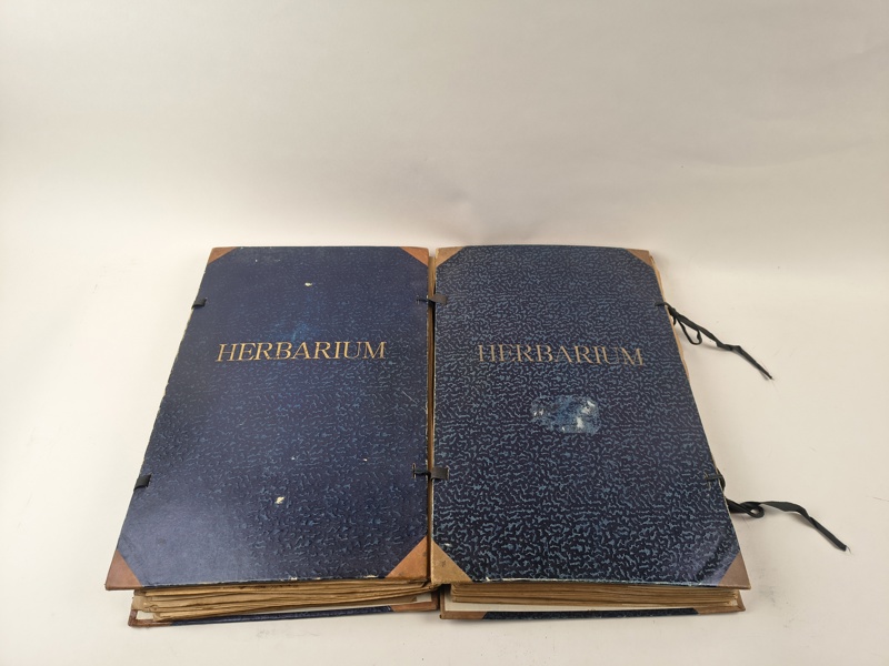 Hebarium 2 st