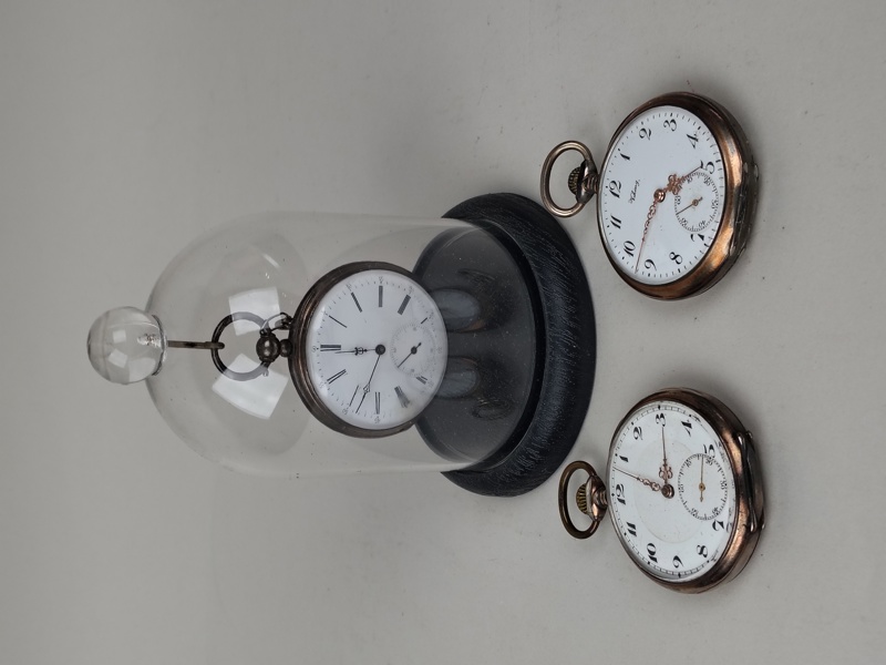 Fickur Silver bl.a. Viking