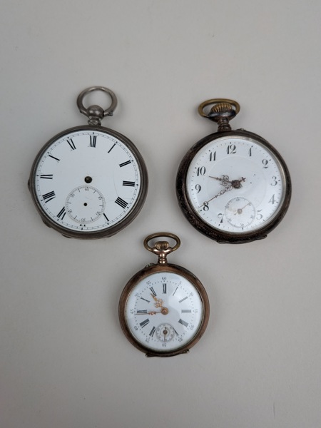 Fickur 3 st, Silverboetter