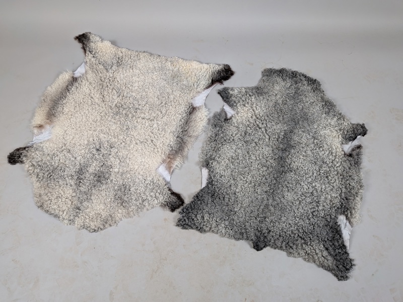 Större lammskinn 2 st, Rathckegården