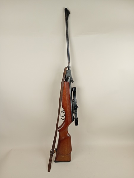 Luftgevär, Expo 2000