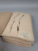 Herbarium