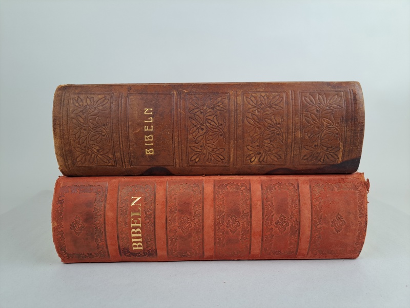 Familjeillustrerad bibel, 2 st