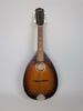 Mandolin, Levin