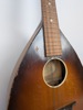 Mandolin, Levin