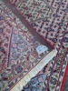 Gallerimatta, orientalisk, Iran