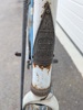 Cykel 28 " Monark