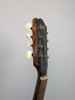 Mandolin, Levin