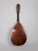 Mandolin, Levin