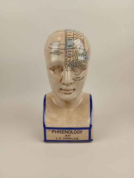 Porslinsbyst/sparbössa, Phrenology By L.N. Fowlwer