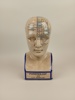 Porslinsbyst/sparbössa, Phrenology By L.N. Fowlwer