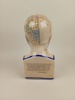 Porslinsbyst/sparbössa, Phrenology By L.N. Fowlwer