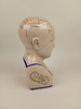 Porslinsbyst/sparbössa, Phrenology By L.N. Fowlwer