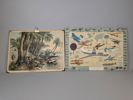 Skolplansch & plakat, kokospalm & flygvapnets historia