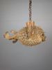 Taxidermi,Lampskärm/taklampa Blåsfisk