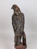 Taxidermi/Uppstoppad fågel, Korp