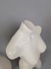 Skyltdockor, Torso 2 st