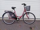 Damcykel, Yosemite Ahwanee City Bike