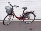 Damcykel, Yosemite Ahwanee City Bike