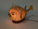 Bordslampa, Blåsfisk, Taxidermi