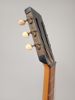Gitarr