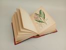 Bok, "Bilder ur Nordens Flora II" C.A.M Lindman 1922