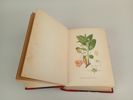 Bok, "Bilder ur Nordens Flora II" C.A.M Lindman 1922